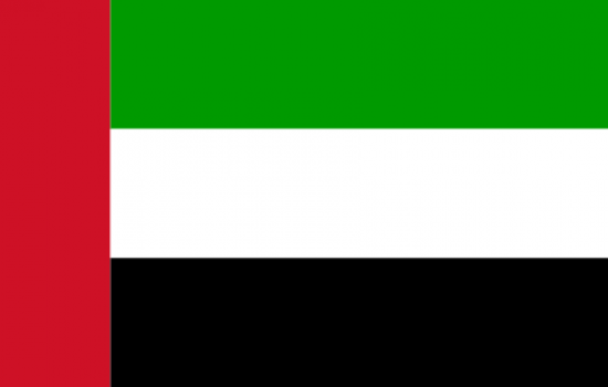 AED Flag